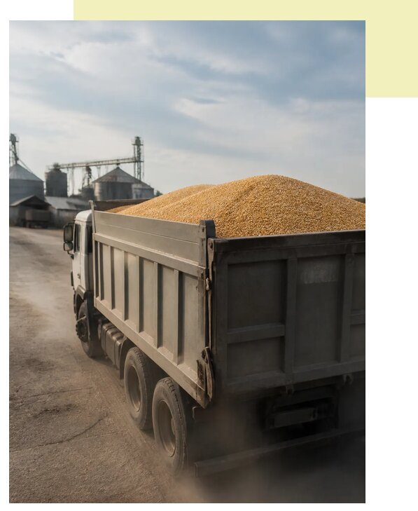 Перевозка сельхозпродукции навалом в Уфу по цене от 3083 р. | Агросервис-Уфа